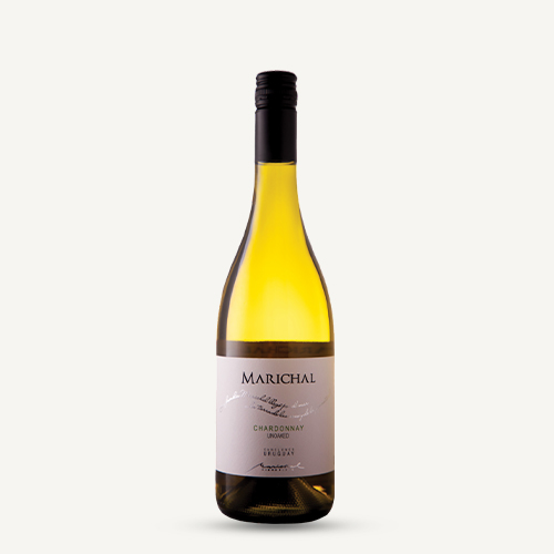 Marichal Chardonnay